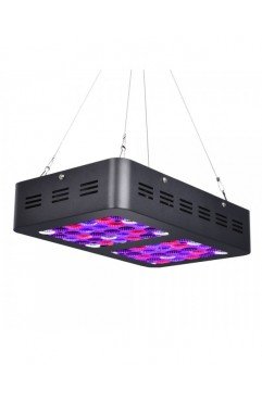 Classic 120W