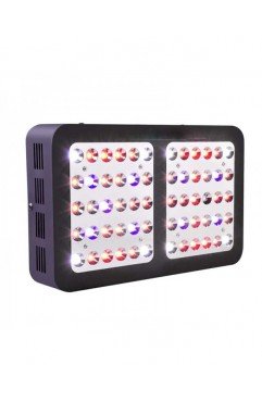 Classic 120W