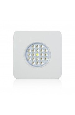 CF-GL-SUNFLOWER 60W
